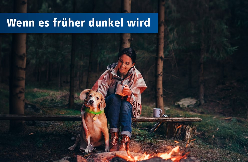 Hund mit Frauchen in der Dunkelheit